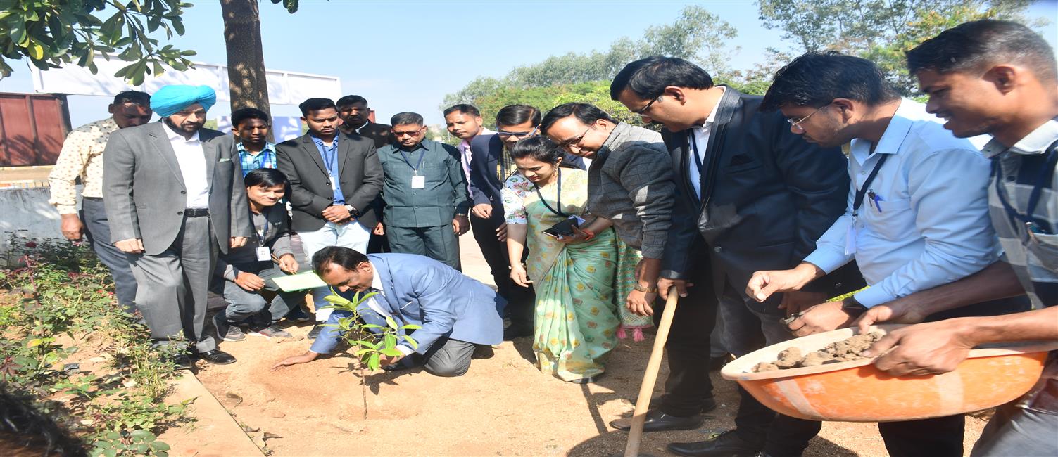 PLANTATION BY Dr. PANDIT PALANDE CHAIRPERSON - NAAC